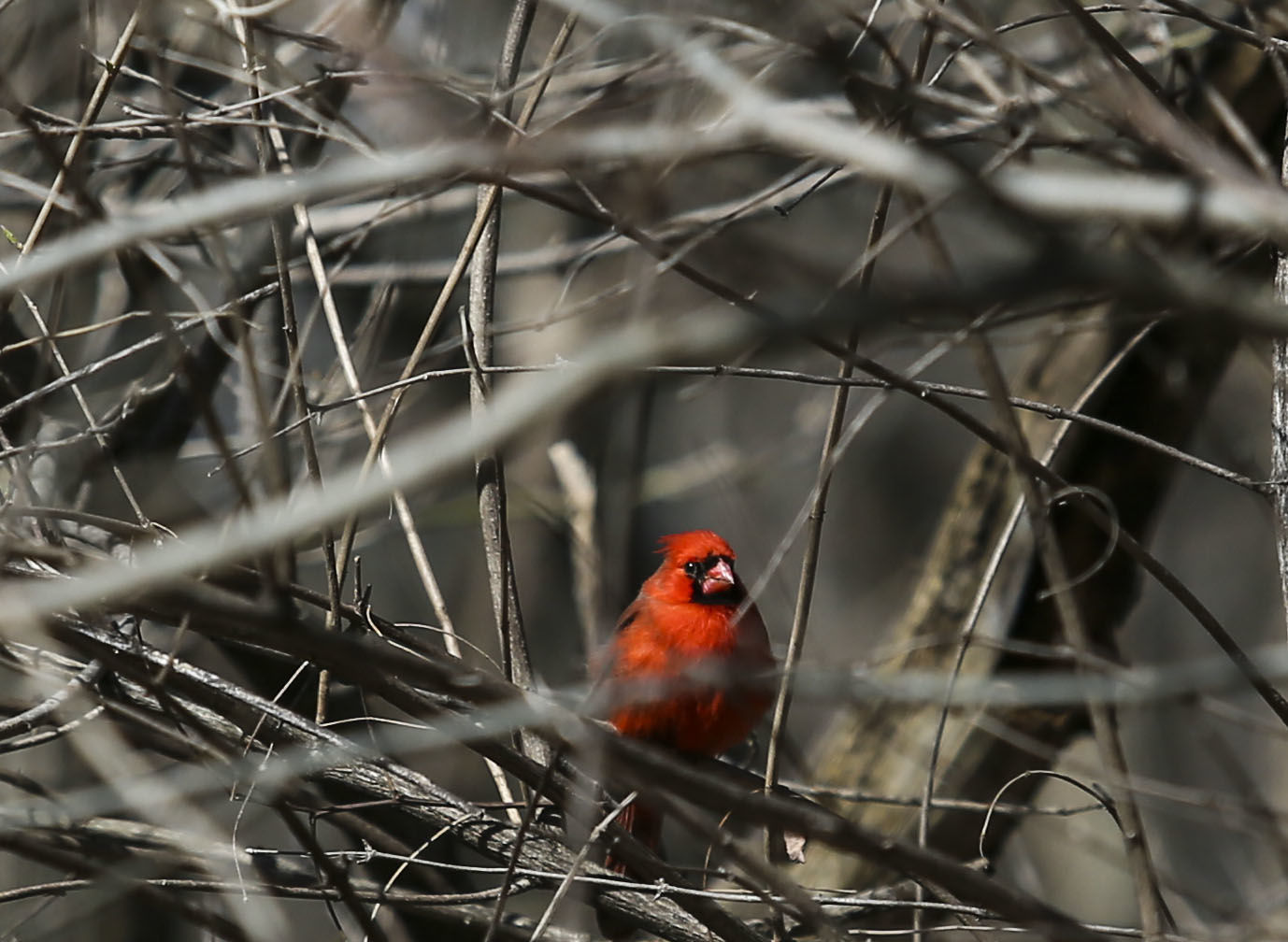 033020-standalone-qca-05.JPG